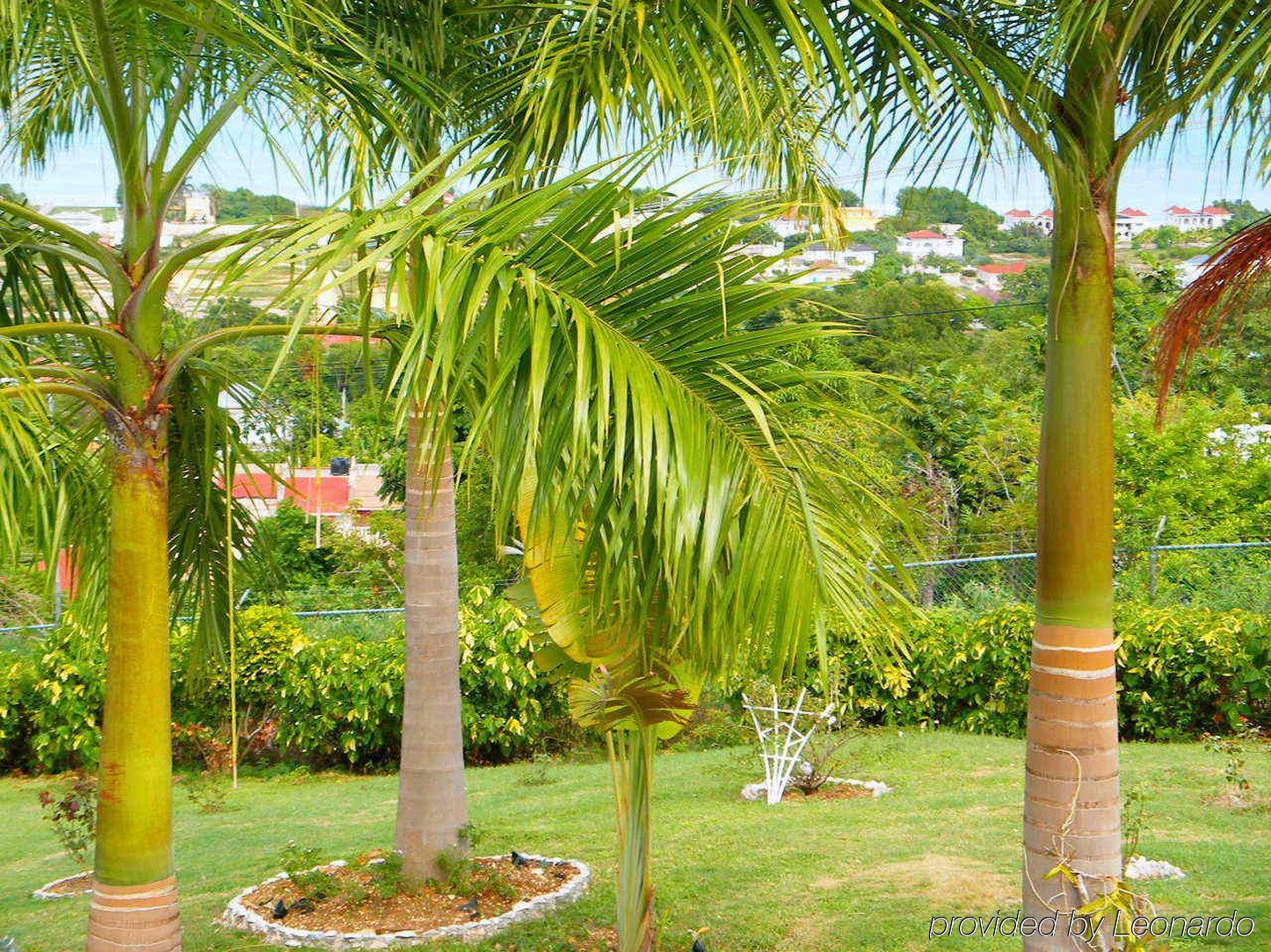 Emerald View Resort Villa Montego Bay Exteriér fotografie